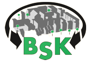 BSK GmbH Trier